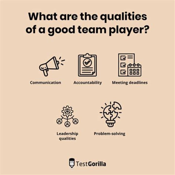 What is a good definition of team player?