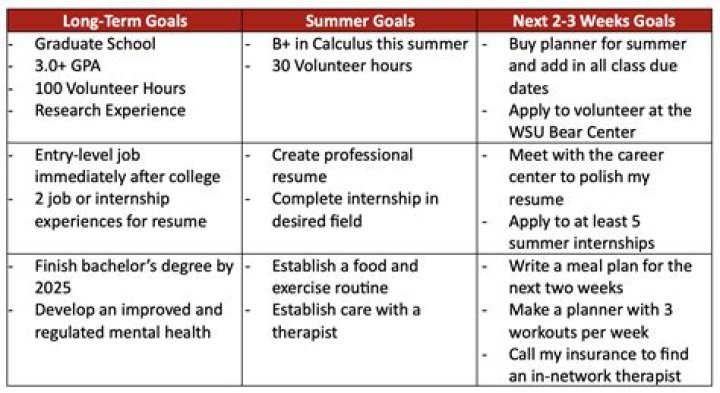 What is a good short term career goal?