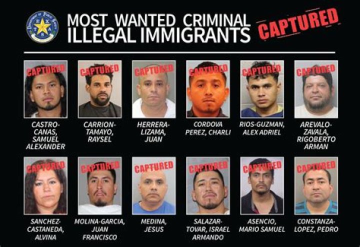 What is a group of criminals called?