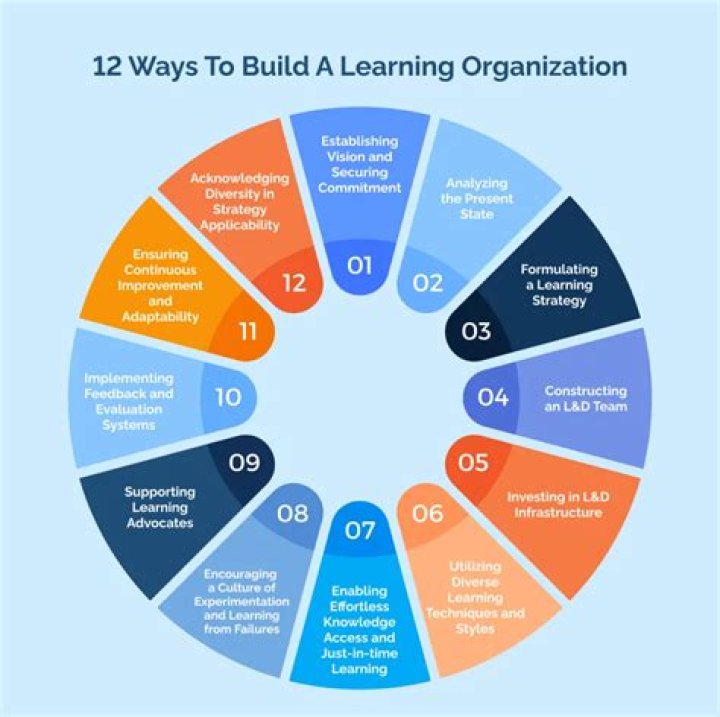 What is a learning Organisation with example?