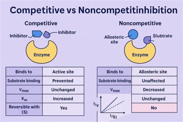 What is a noncompetitive bid?