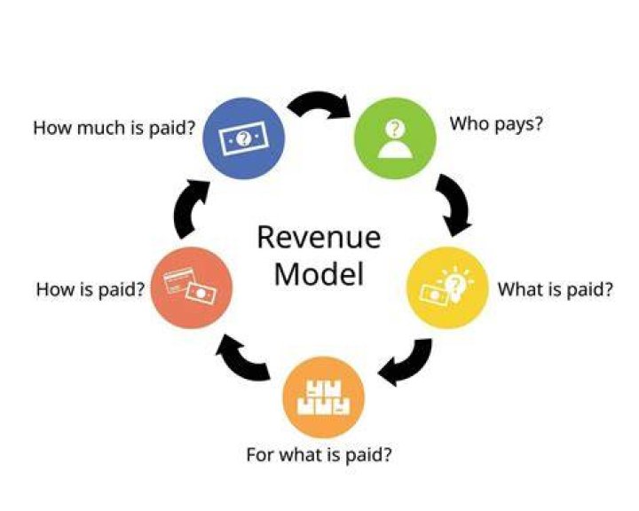 What is a program revenue?