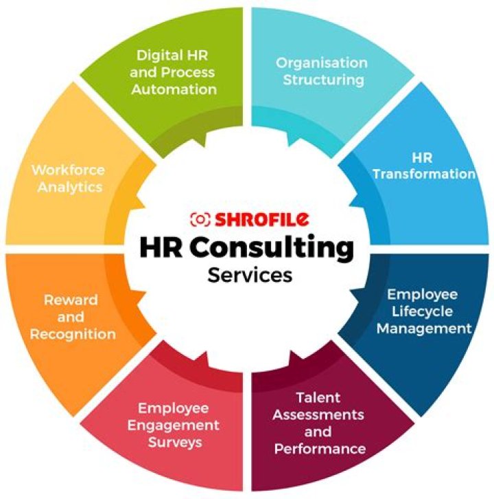 What is a resource consultant?