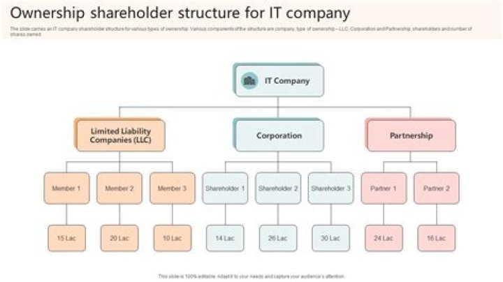 What is a small ownership in a company called?