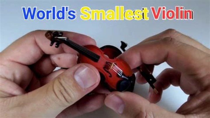 What is a small violin called?