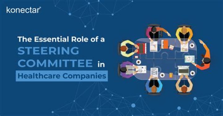 What is a Steering Committee in healthcare?