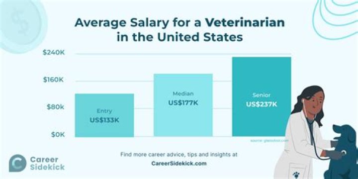 What is a veterinarian salary in New York?