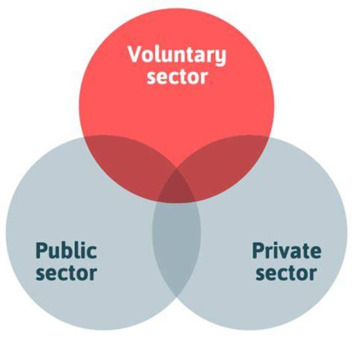 What is a voluntary sector and its importance?