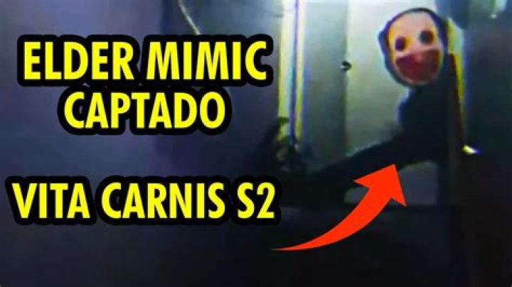 What is an elder care specialist?