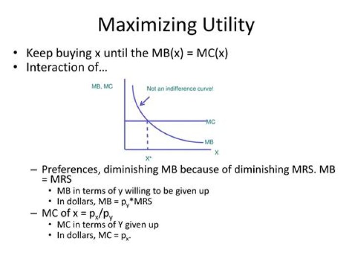 What is an example of maximizing utility?