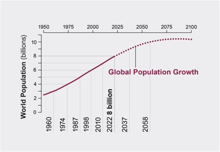 What is an example of population growth rate?