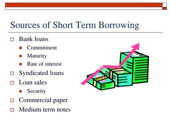 What is an example of short term borrowing?