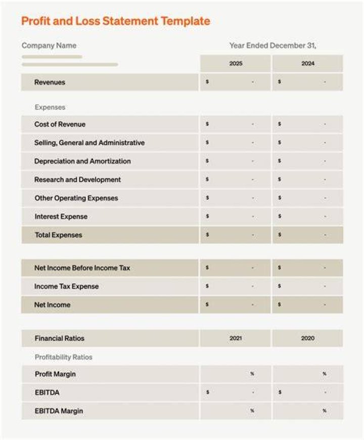 What is an income statement for a loan?