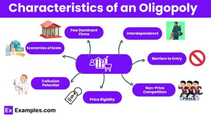 What is an oligopoly and give an example?
