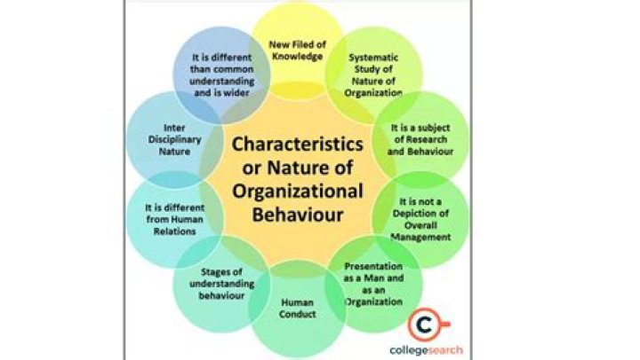 What is an organization in organizational Behaviour?