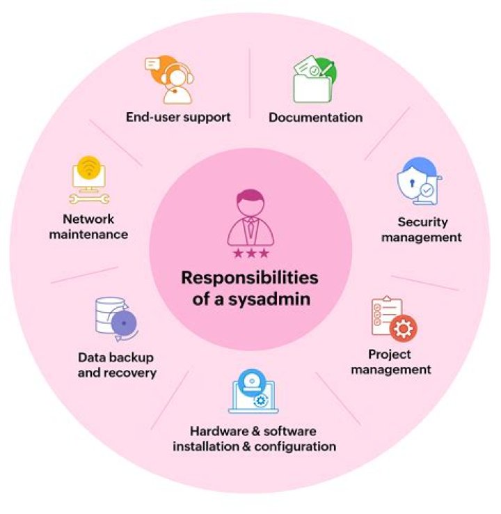 What is an SNF administrator?