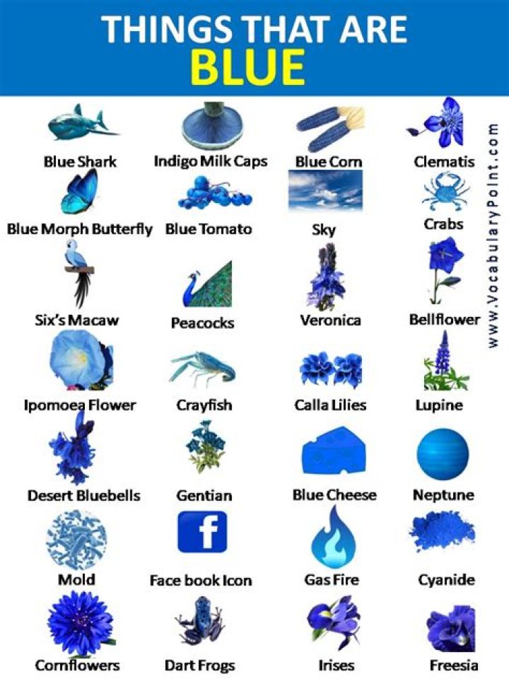 What is blue in Islam?