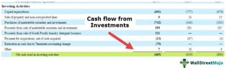 What is cash inflow with example?