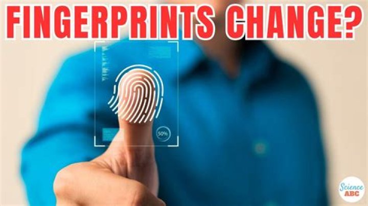 What is checked when fingerprinted?