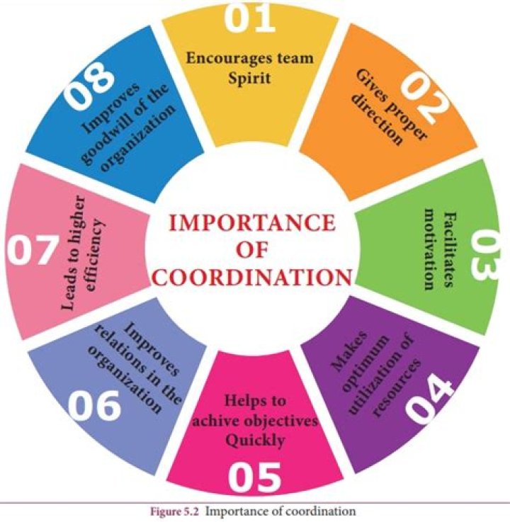 What is coordination in management and its importance?
