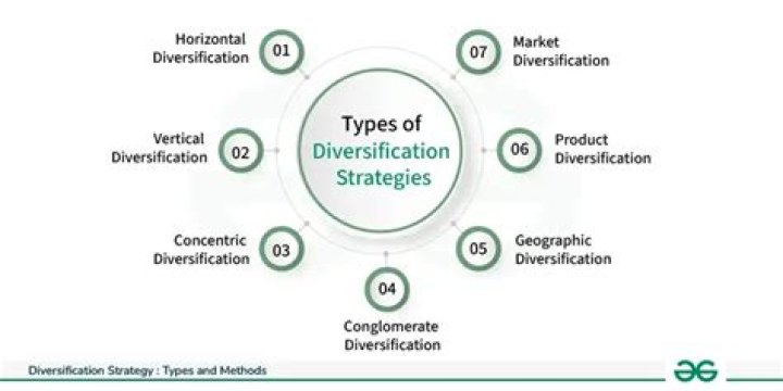 What is diversification in business?