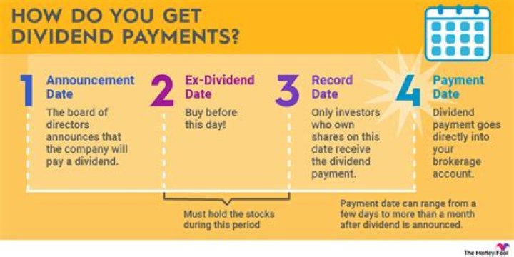 What is dividend with example?