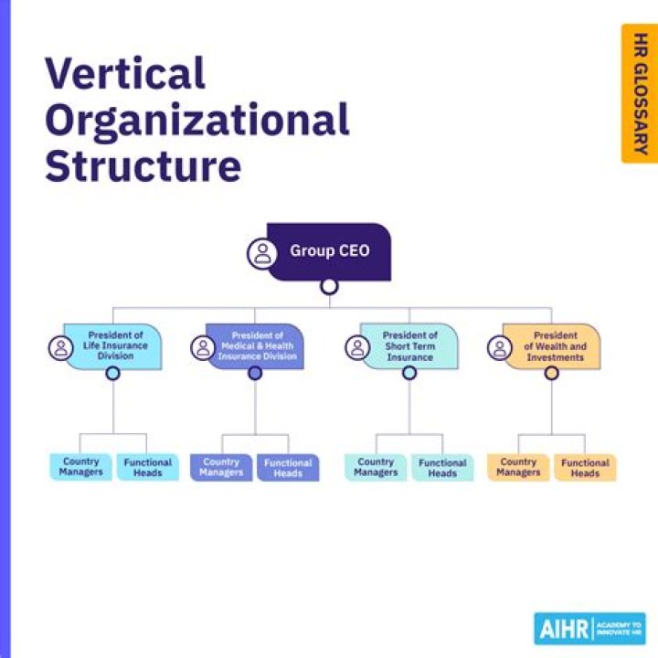 What is example of vertical structure?