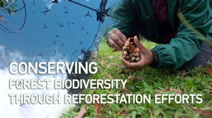 What is forest conservation What are its objectives?