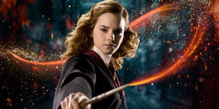 What is Hermione's wand made of?