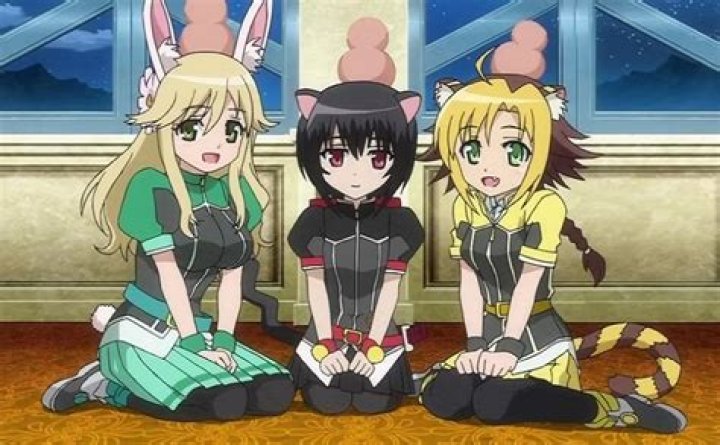 What is husband called in anime?