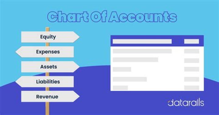 What is included in the chart of accounts?