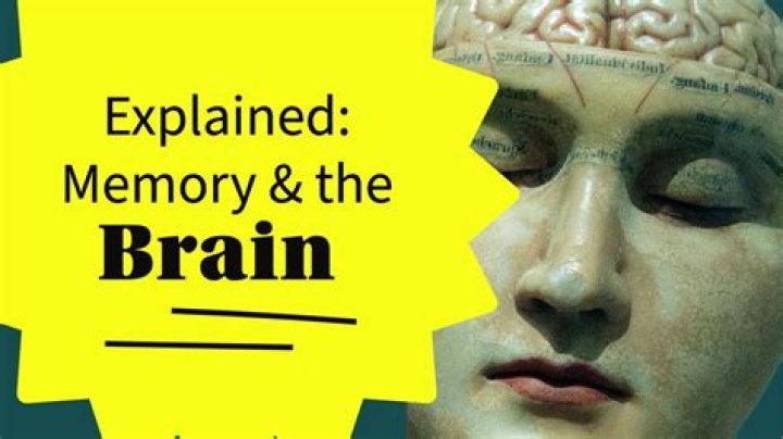 What is it called when a person remembers everything?