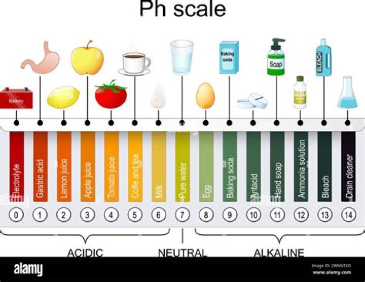 What is lemons pH level?