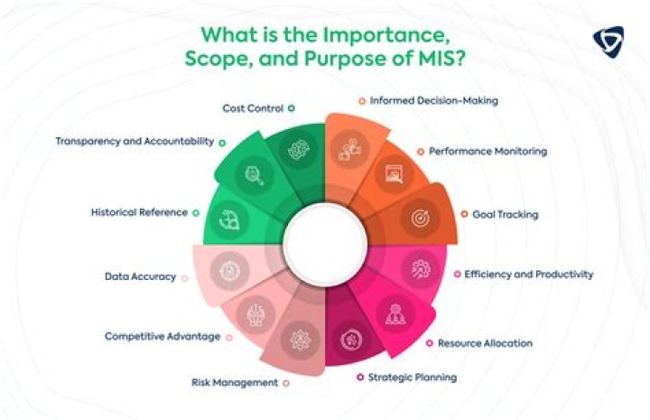 What is MIS and its importance?