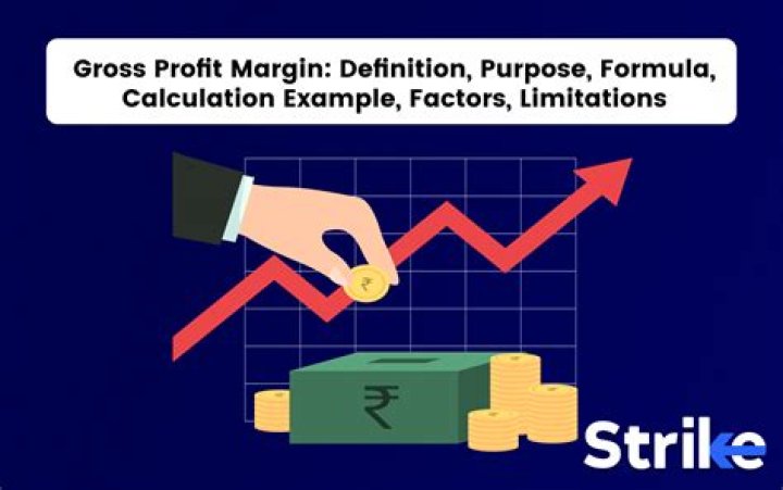 What is profit margin example?