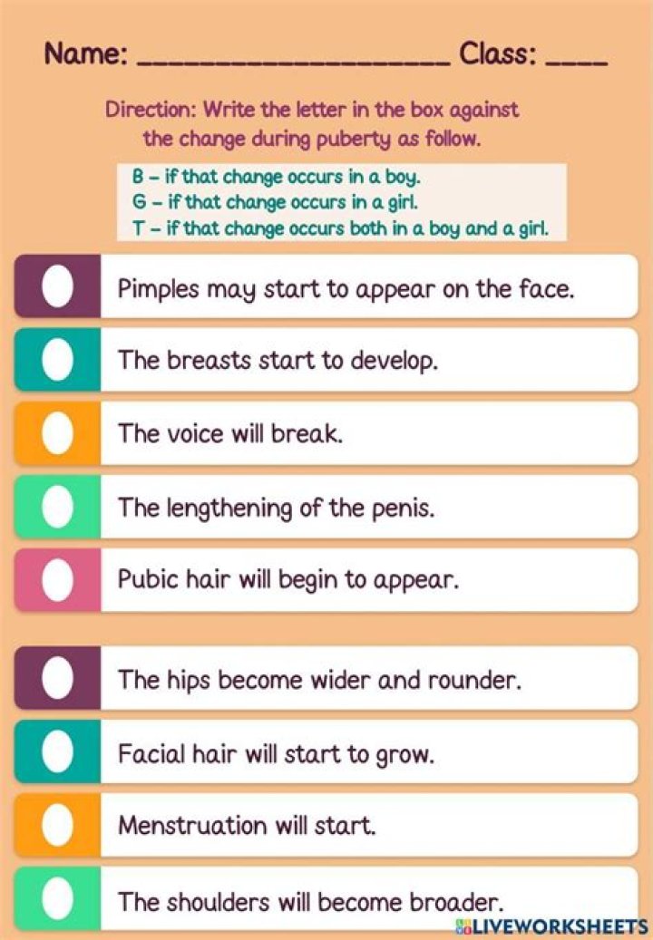 What is puberty Class 8 science?