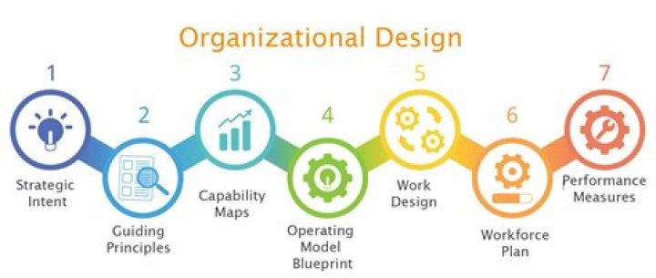 What is purpose of organizing what are important factors for organizational design?