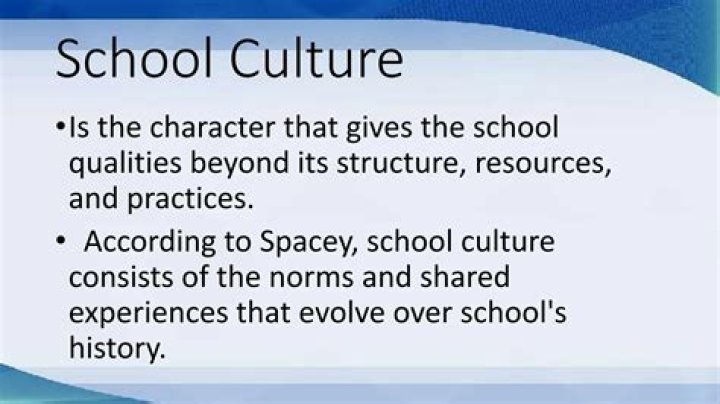 What is school culture and why is it important?