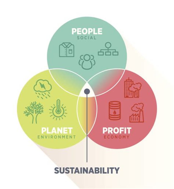 What is sustainability strategy of business?