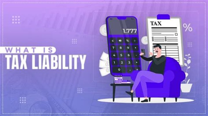 What is tax liability for the year?
