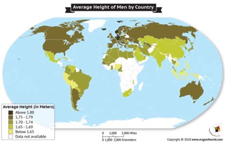 What is the average height in the world?