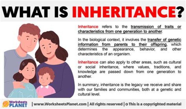 What is the average inheritance?