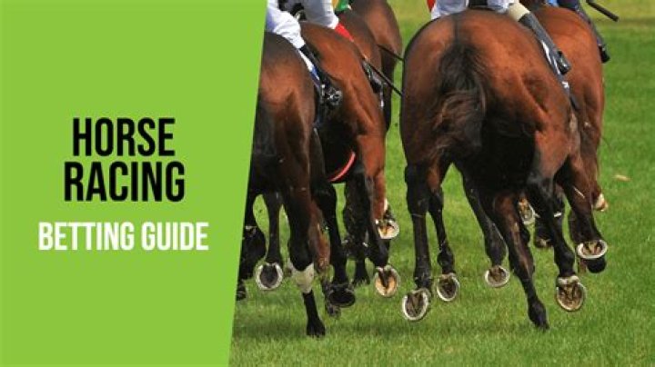 What is the best way to bet on horses?