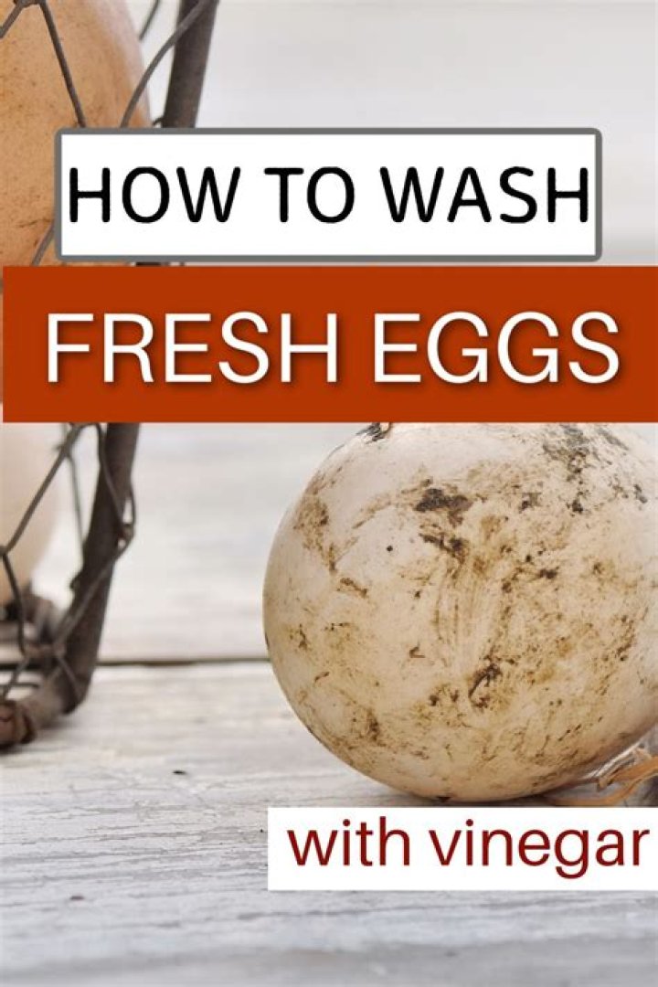 What is the best way to wash fresh eggs?