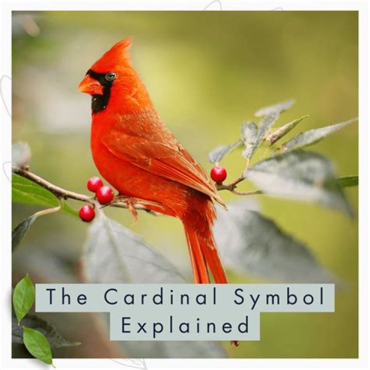 What is the cardinal rule?