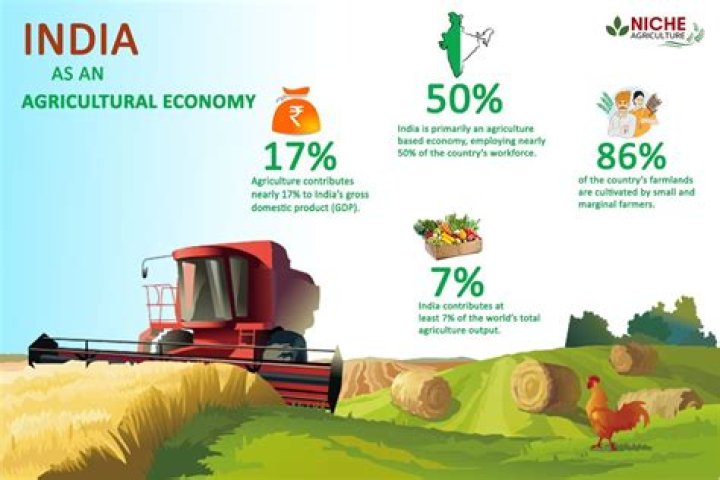 What is the contribution of agriculture sector to GDP in India?