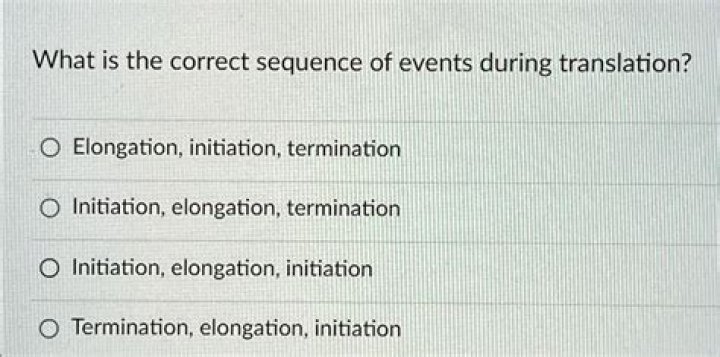 What is the correct sequence of events during translation?