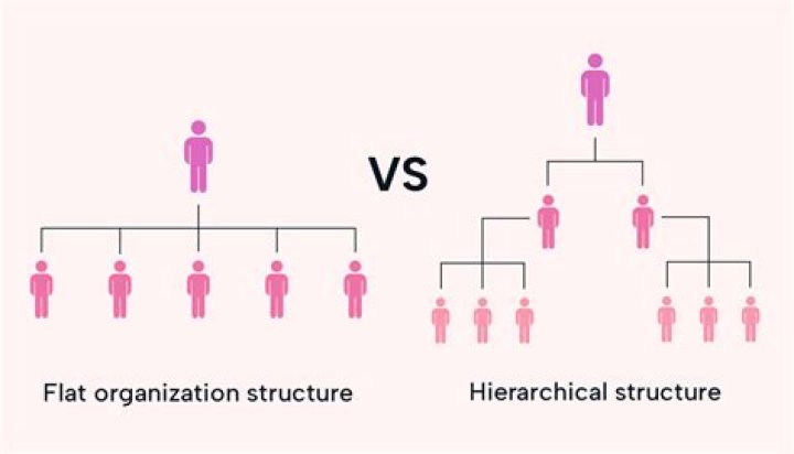 What is the difference between a functional and a product based Organisation structure?