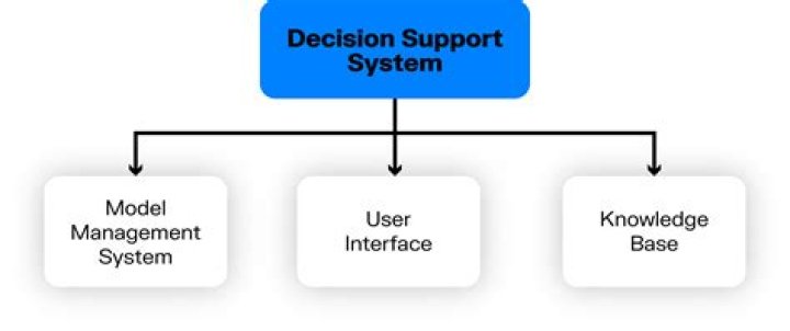 What is the difference between decision support system and information systems?