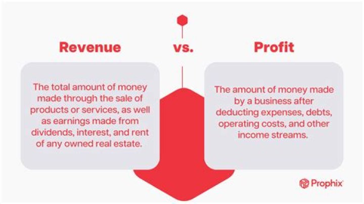 What is the difference between earnings and profits?